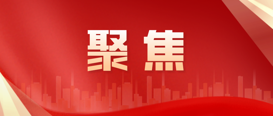 張職院師生熱議黨的二十屆三中全會精神（二）