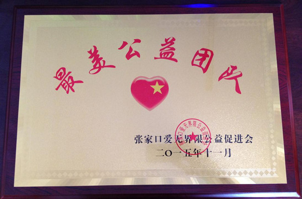 我院大學生志愿者協會被授予“最美公益團隊”稱號