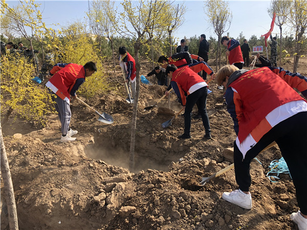 我院各系部相繼開展團學及志愿者活動