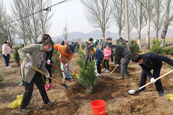 學院組織教職工開展義務植樹暨黨支部活動