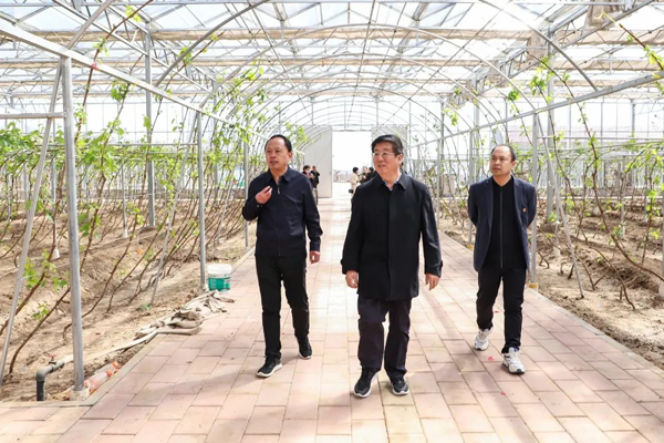 黨委書記馮印濤率隊赴懷來縣調研督導鄉村振興幫扶工作