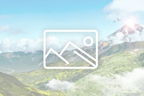 中華人民共和國職業教育法